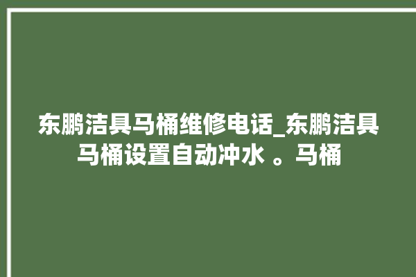 东鹏洁具马桶维修电话_东鹏洁具马桶设置自动冲水 。马桶