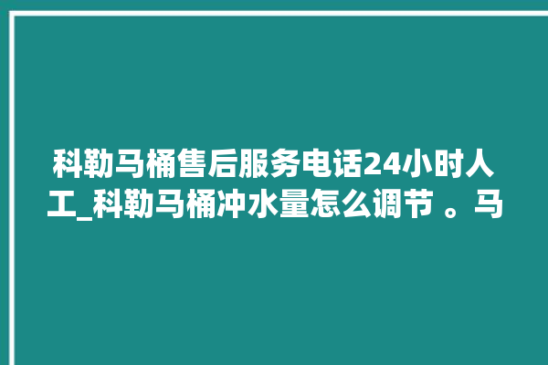 科勒马桶售后服务电话24小时人工_科勒马桶冲水量怎么调节 。马桶