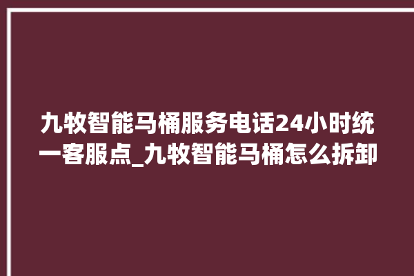 九牧智能马桶服务电话24小时统一客服点_九牧智能马桶怎么拆卸 。马桶