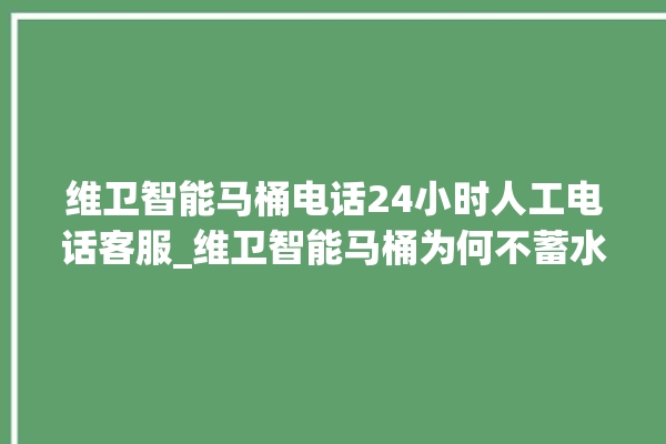 维卫智能马桶电话24小时人工电话客服_维卫智能马桶为何不蓄水 。马桶