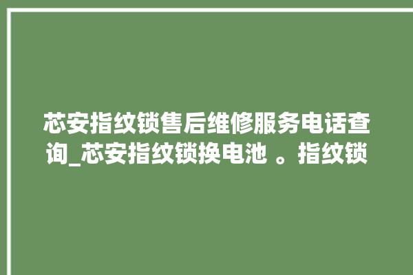 芯安指纹锁售后维修服务电话查询_芯安指纹锁换电池 。指纹锁