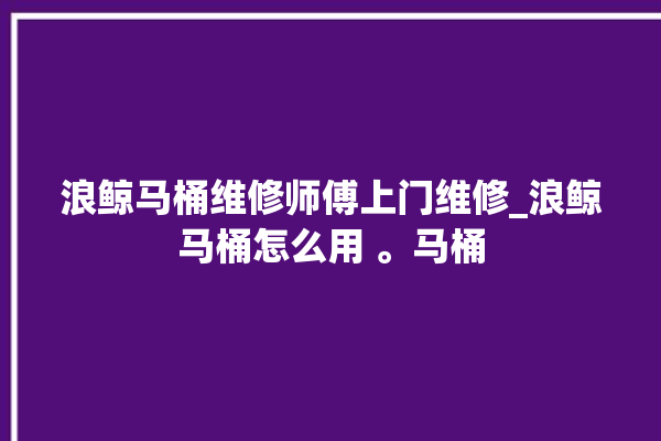 浪鲸马桶维修师傅上门维修_浪鲸马桶怎么用 。马桶