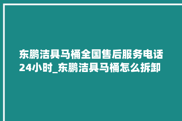 东鹏洁具马桶全国售后服务电话24小时_东鹏洁具马桶怎么拆卸 。马桶