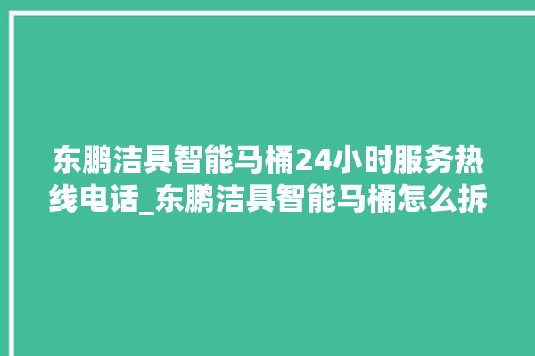 东鹏洁具智能马桶24小时服务热线电话_东鹏洁具智能马桶怎么拆卸 。马桶