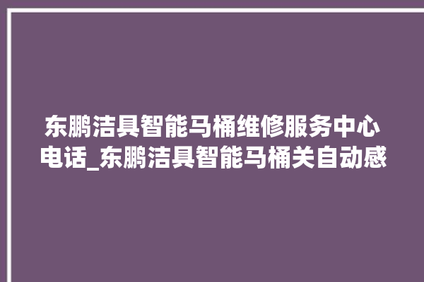 东鹏洁具智能马桶维修服务中心电话_东鹏洁具智能马桶关自动感应 。马桶