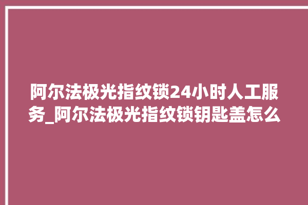 阿尔法极光指纹锁24小时人工服务_阿尔法极光指纹锁钥匙盖怎么打开 。阿尔法