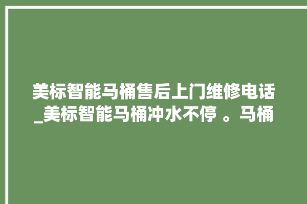 美标智能马桶售后上门维修电话_美标智能马桶冲水不停 。马桶