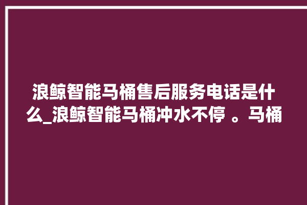 浪鲸智能马桶售后服务电话是什么_浪鲸智能马桶冲水不停 。马桶