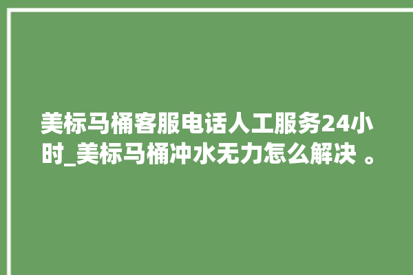 美标马桶客服电话人工服务24小时_美标马桶冲水无力怎么解决 。马桶