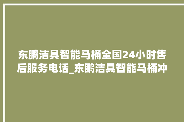 东鹏洁具智能马桶全国24小时售后服务电话_东鹏洁具智能马桶冲水量怎么调节 。马桶