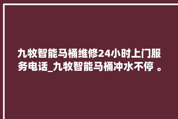 九牧智能马桶维修24小时上门服务电话_九牧智能马桶冲水不停 。马桶