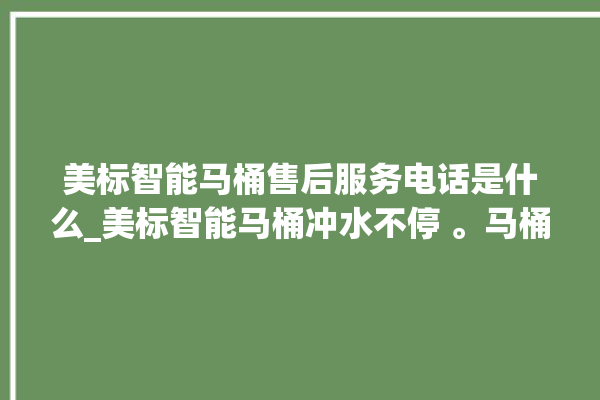 美标智能马桶售后服务电话是什么_美标智能马桶冲水不停 。马桶