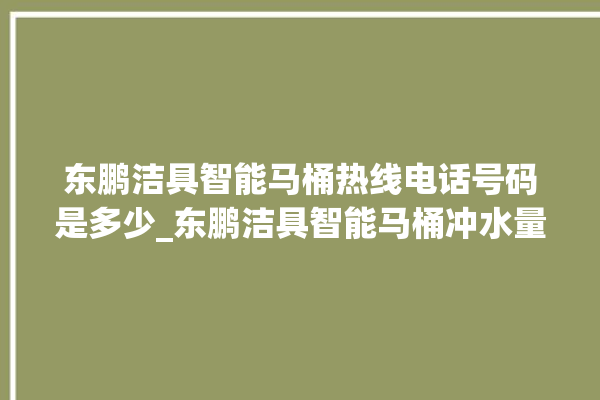 东鹏洁具智能马桶热线电话号码是多少_东鹏洁具智能马桶冲水量怎么调节 。马桶