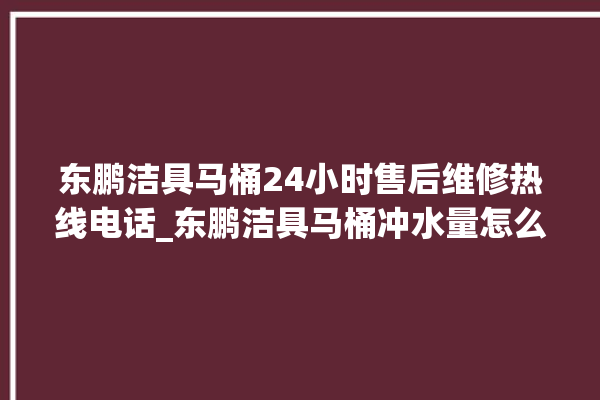 东鹏洁具马桶24小时售后维修热线电话_东鹏洁具马桶冲水量怎么调节 。马桶