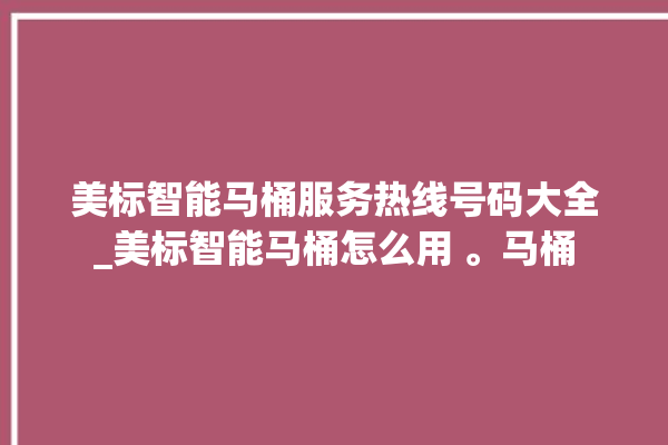 美标智能马桶服务热线号码大全_美标智能马桶怎么用 。马桶