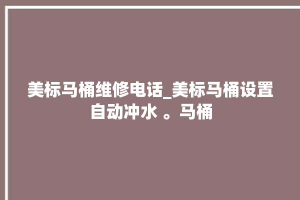 美标马桶维修电话_美标马桶设置自动冲水 。马桶