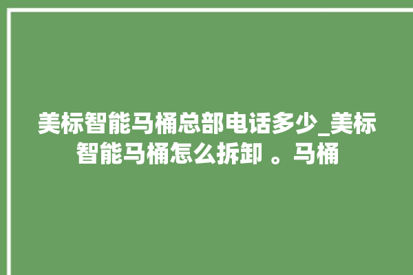 美标智能马桶总部电话多少_美标智能马桶怎么拆卸 。马桶