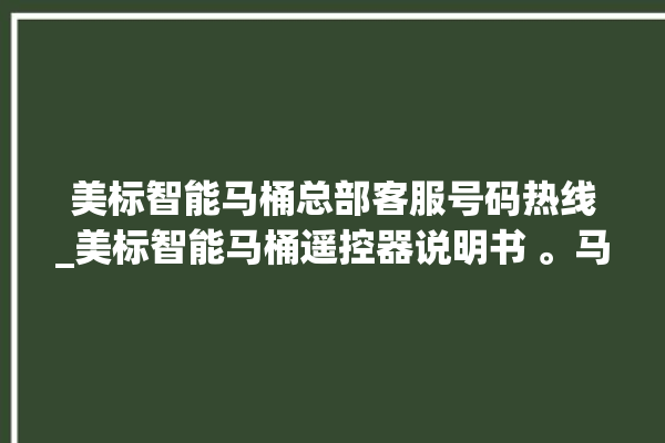 美标智能马桶总部客服号码热线_美标智能马桶遥控器说明书 。马桶