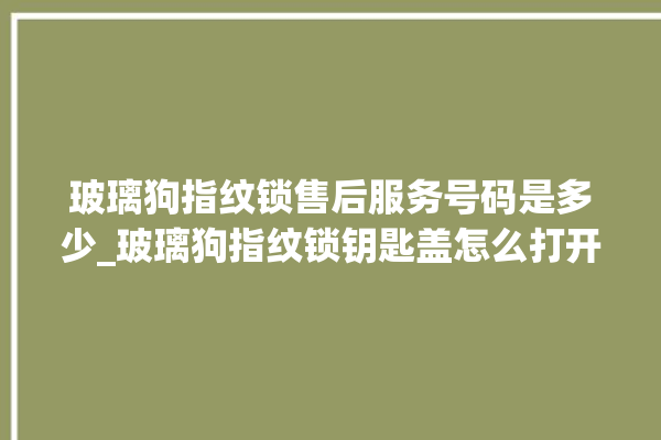 玻璃狗指纹锁售后服务号码是多少_玻璃狗指纹锁钥匙盖怎么打开 。玻璃