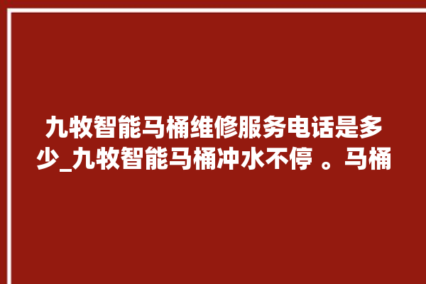 九牧智能马桶维修服务电话是多少_九牧智能马桶冲水不停 。马桶