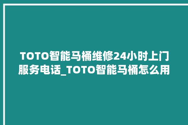 TOTO智能马桶维修24小时上门服务电话_TOTO智能马桶怎么用 。马桶