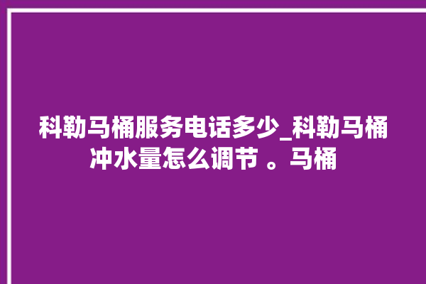 科勒马桶服务电话多少_科勒马桶冲水量怎么调节 。马桶