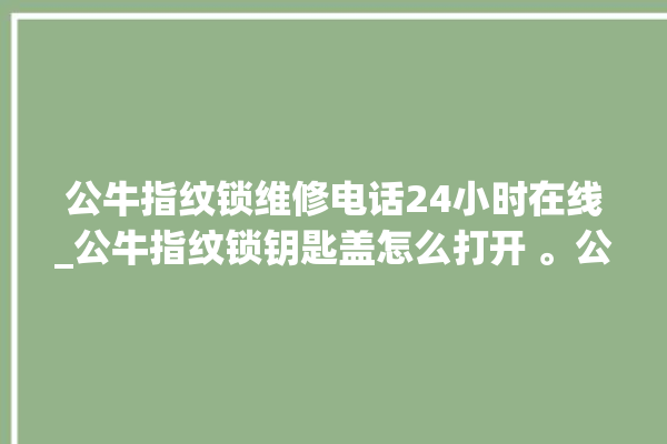 公牛指纹锁维修电话24小时在线_公牛指纹锁钥匙盖怎么打开 。公牛