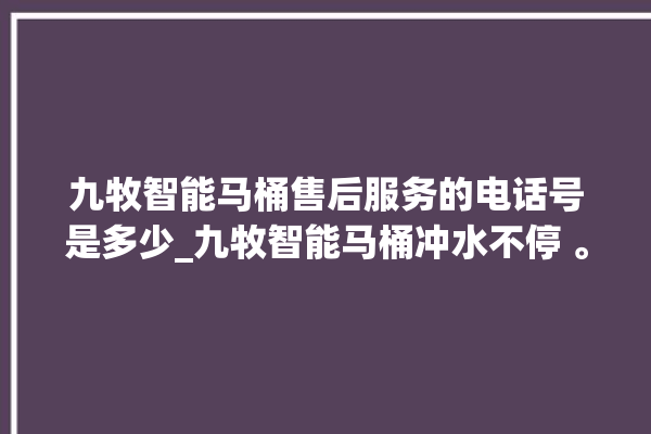 九牧智能马桶售后服务的电话号是多少_九牧智能马桶冲水不停 。马桶