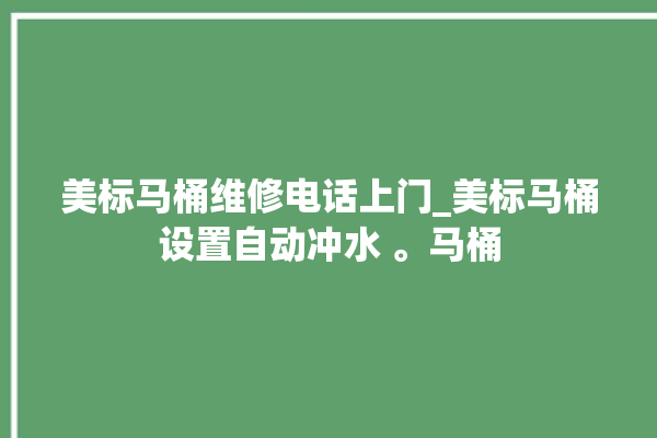 美标马桶维修电话上门_美标马桶设置自动冲水 。马桶