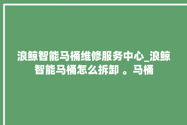 浪鲸智能马桶维修服务中心_浪鲸智能马桶怎么拆卸 。马桶