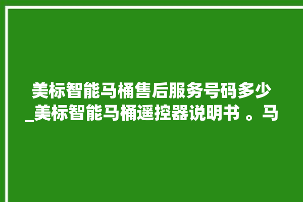 美标智能马桶售后服务号码多少_美标智能马桶遥控器说明书 。马桶