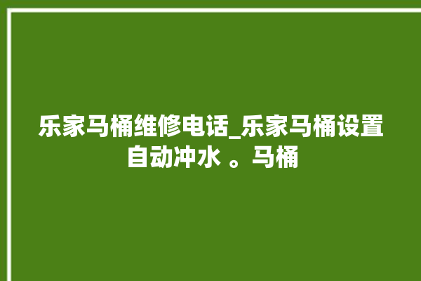 乐家马桶维修电话_乐家马桶设置自动冲水 。马桶