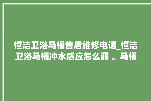 恒洁卫浴马桶售后维修电话_恒洁卫浴马桶冲水感应怎么调 。马桶