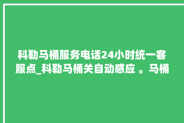 科勒马桶服务电话24小时统一客服点_科勒马桶关自动感应 。马桶