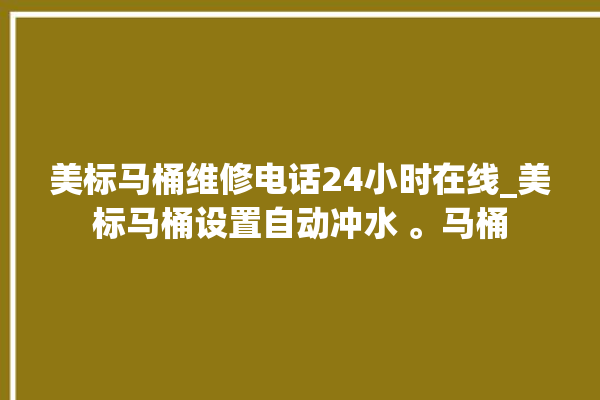 美标马桶维修电话24小时在线_美标马桶设置自动冲水 。马桶