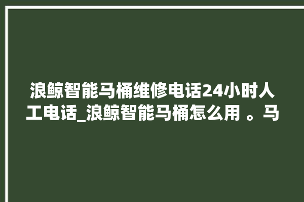 浪鲸智能马桶维修电话24小时人工电话_浪鲸智能马桶怎么用 。马桶