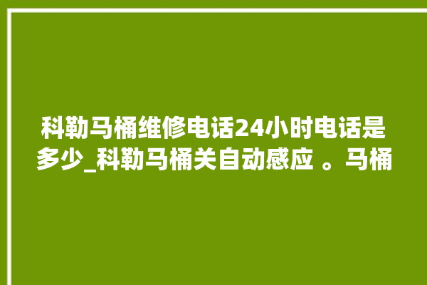 科勒马桶维修电话24小时电话是多少_科勒马桶关自动感应 。马桶