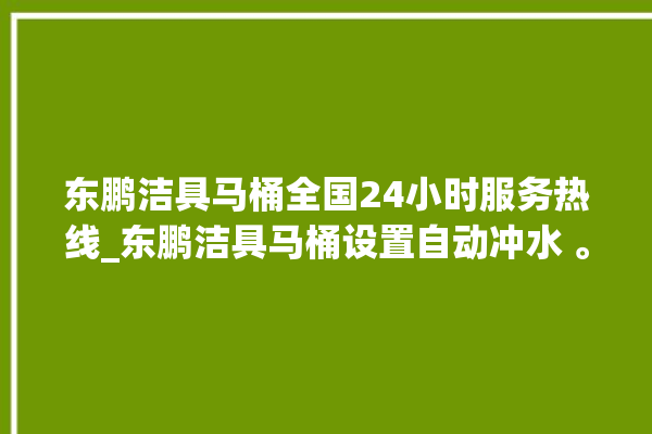 东鹏洁具马桶全国24小时服务热线_东鹏洁具马桶设置自动冲水 。马桶