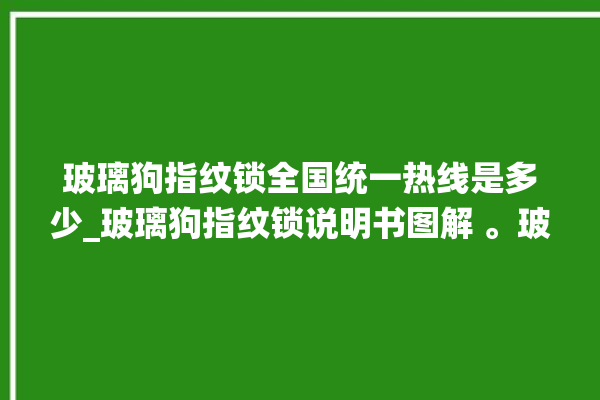 玻璃狗指纹锁全国统一热线是多少_玻璃狗指纹锁说明书图解 。玻璃