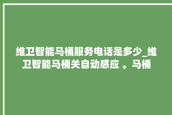 维卫智能马桶服务电话是多少_维卫智能马桶关自动感应 。马桶