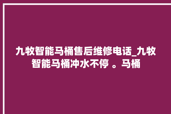 九牧智能马桶售后维修电话_九牧智能马桶冲水不停 。马桶