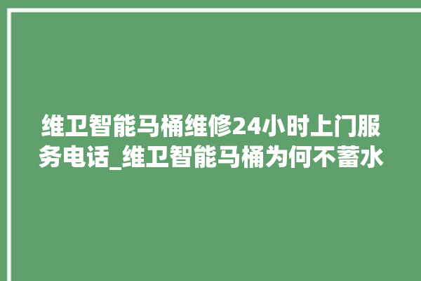 维卫智能马桶维修24小时上门服务电话_维卫智能马桶为何不蓄水 。马桶