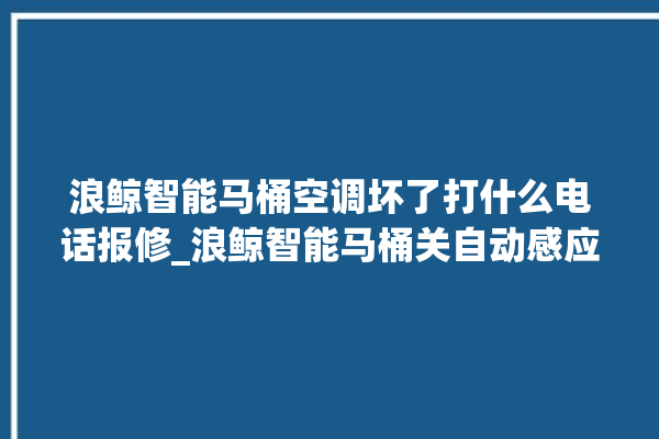 浪鲸智能马桶空调坏了打什么电话报修_浪鲸智能马桶关自动感应 。马桶