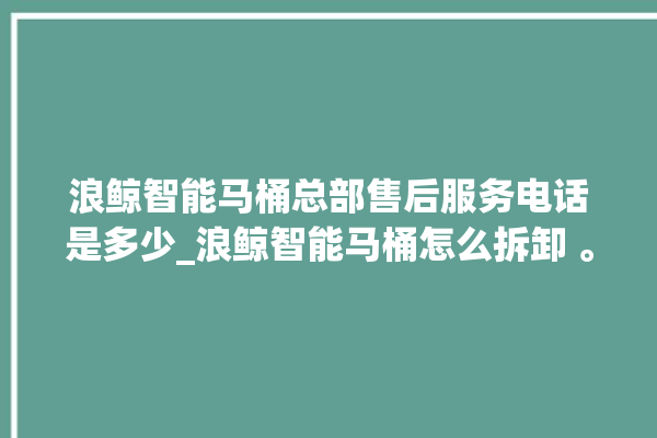 浪鲸智能马桶总部售后服务电话是多少_浪鲸智能马桶怎么拆卸 。马桶