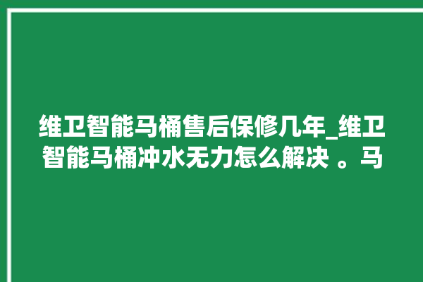 维卫智能马桶售后保修几年_维卫智能马桶冲水无力怎么解决 。马桶