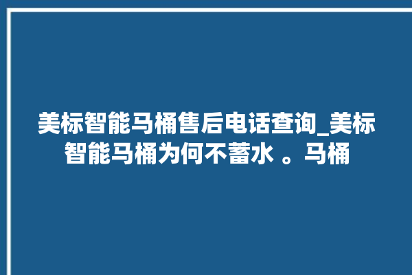 美标智能马桶售后电话查询_美标智能马桶为何不蓄水 。马桶