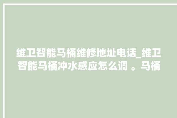 维卫智能马桶维修地址电话_维卫智能马桶冲水感应怎么调 。马桶