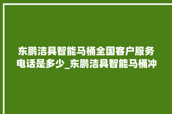 东鹏洁具智能马桶全国客户服务电话是多少_东鹏洁具智能马桶冲水无力怎么解决 。马桶