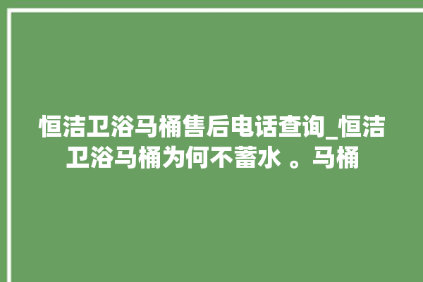 恒洁卫浴马桶售后电话查询_恒洁卫浴马桶为何不蓄水 。马桶