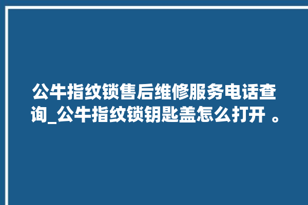 公牛指纹锁售后维修服务电话查询_公牛指纹锁钥匙盖怎么打开 。公牛